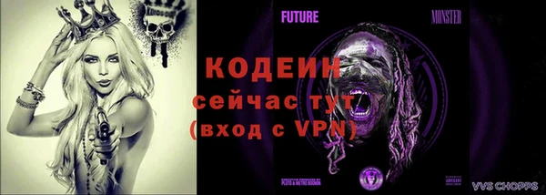 ГАЛЛЮЦИНОГЕННЫЕ ГРИБЫ Болхов